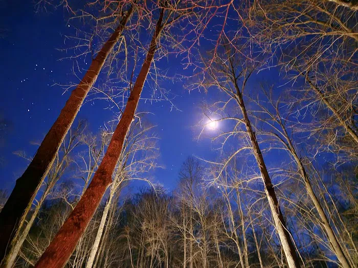 Bryson City RV Picture 8