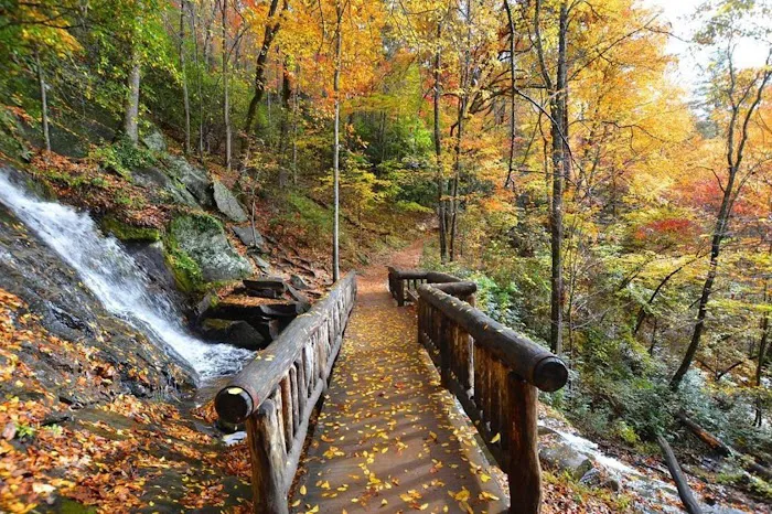 Nantahala RV Resort & Campground Picture 9