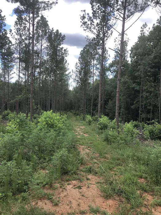 Pine Hill Campground and RV Park Picture 9