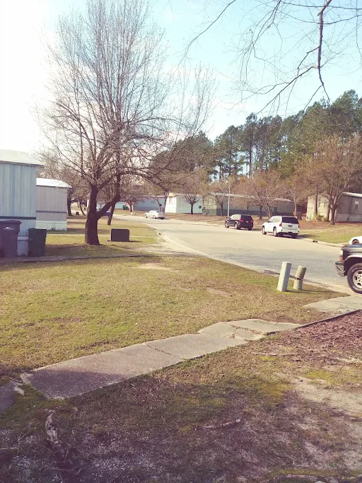Carolina Springs Mobile Home Park Picture 1