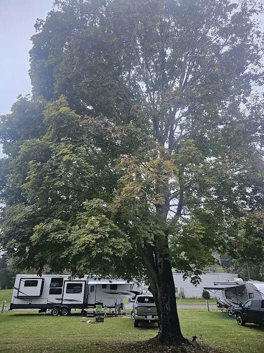 Bristol Raceway Camping Picture 7