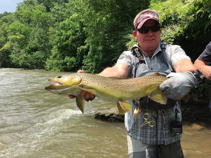 Camp Stonefly Picture 4