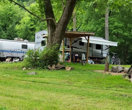 Camp Stonefly