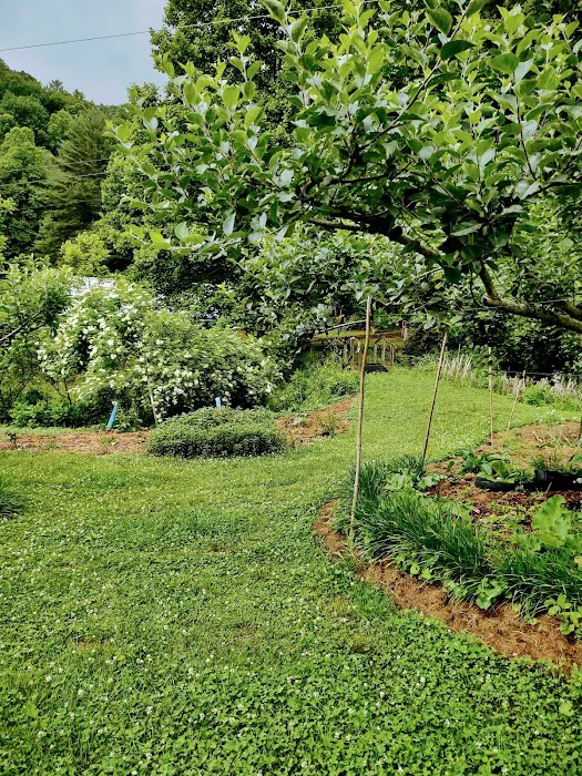 Blackberry Blossom Farm & Campground Picture 3