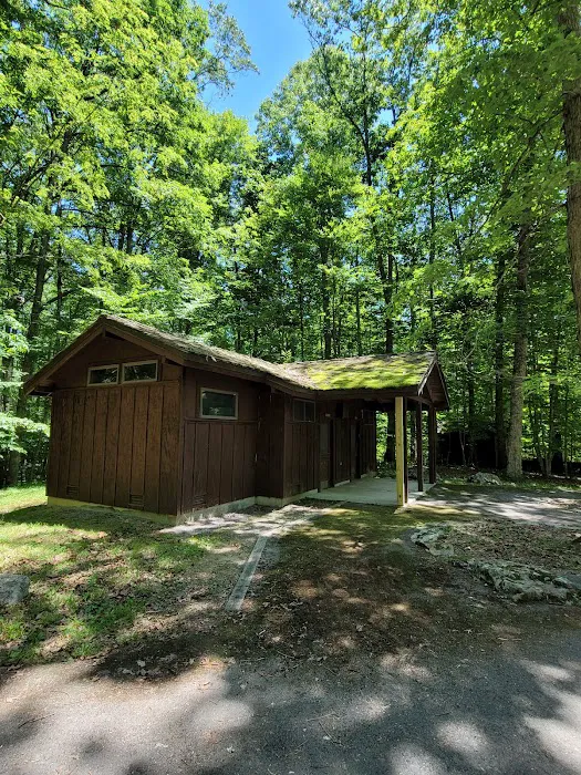 Bark Camp Recreation Area Picture 1