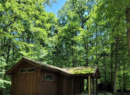 Bark Camp Recreation Area