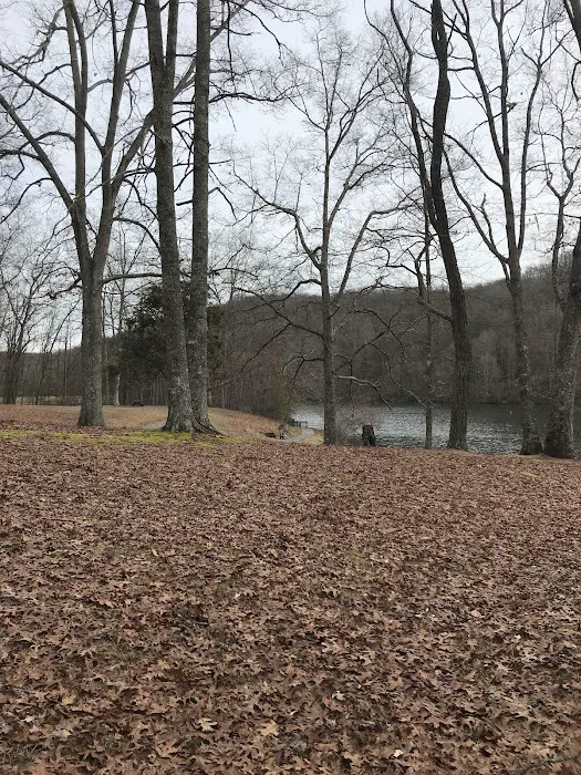 Bark Camp Recreation Area Picture 8