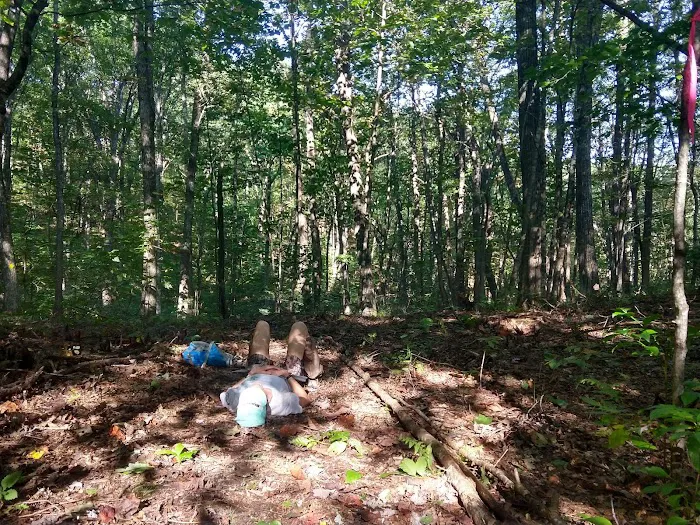 Bark Camp Recreation Area Picture 10