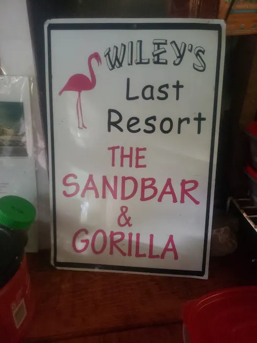 The Sandbar & Gorilla Picture 4