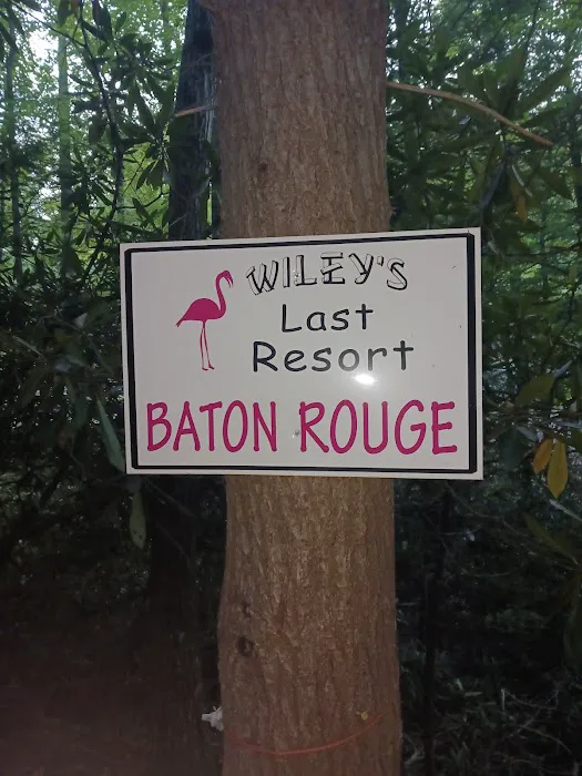 Baton Rouge (Wiley's Last Resort) Picture 1