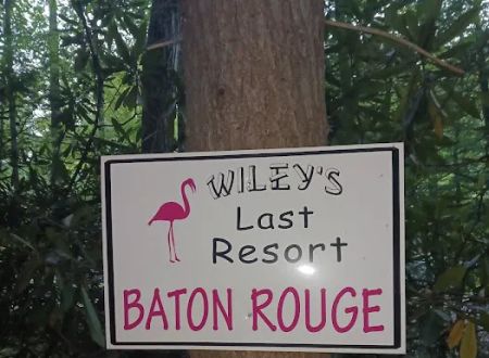 Baton Rouge (Wiley's Last Resort)