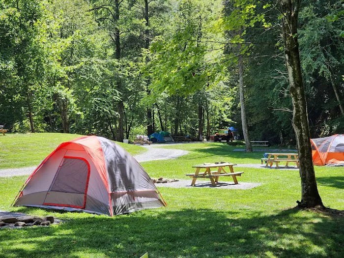 Devils Fork Campground Picture 4