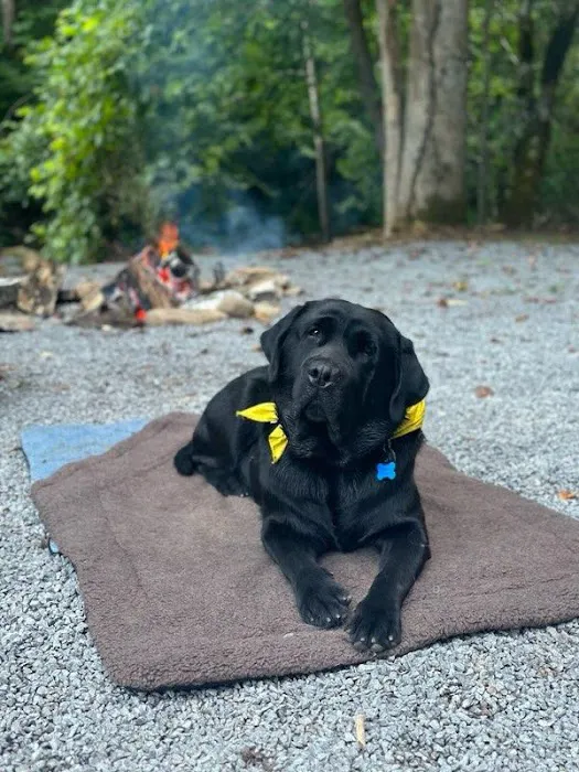 Devils Fork Campground Picture 8