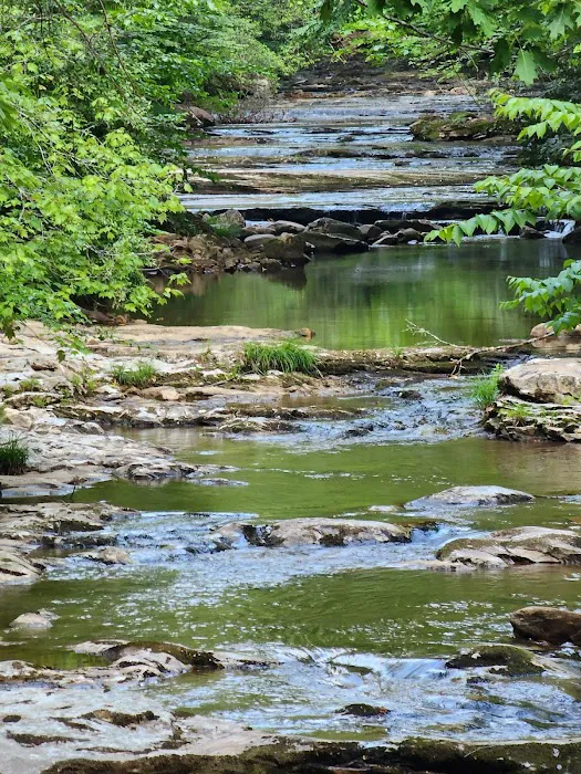 Devils Fork Campground Picture 10