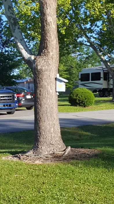 Buffaloe Enterprises & RV Park Picture 4