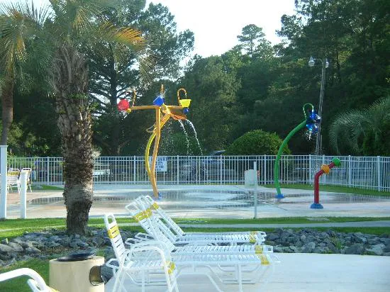 Myrtle Beach KOA Resort Picture 8