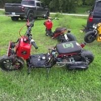 South Fork Red River Campground in the Red River Gorge ico