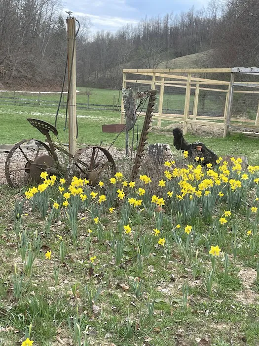 Morning Dew Farm Picture 6