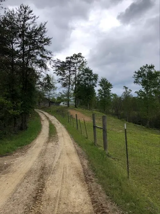 Golden Arrow Reservation Picture 4