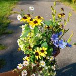 East Fork Campgrounds Check-In
