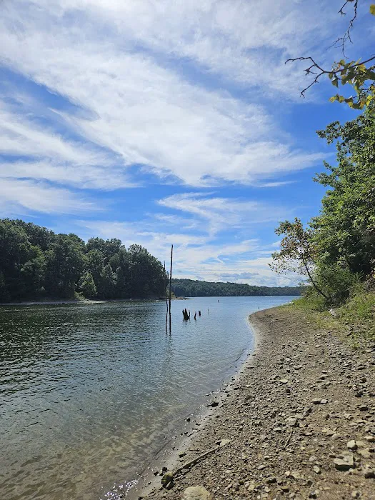 East Fork State Park Campground Picture 5