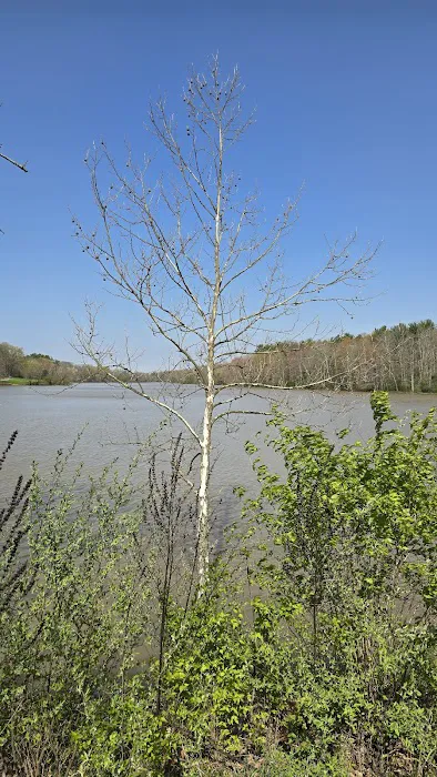Stonelick Campground Office Picture 1
