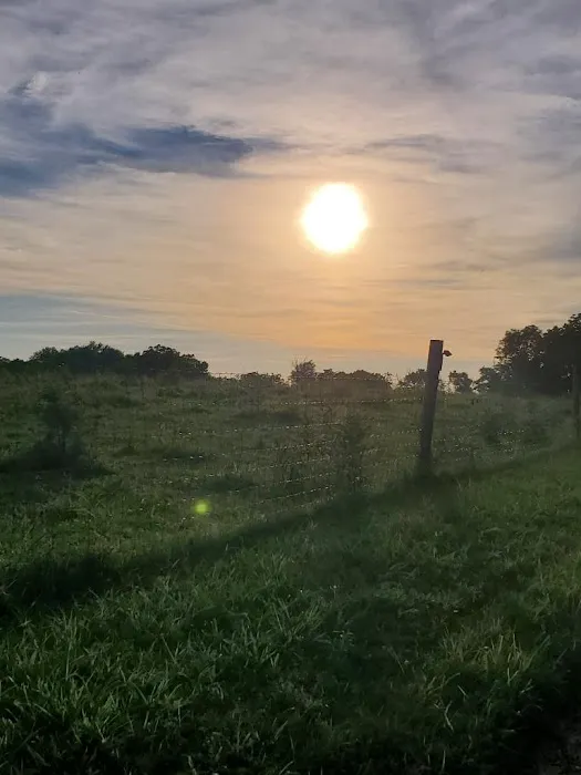 Turkey Hill Homestead Picture 8