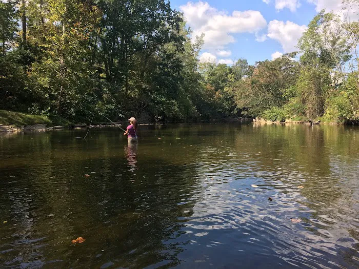 Birds Creek Campground, Tennessee Picture 10