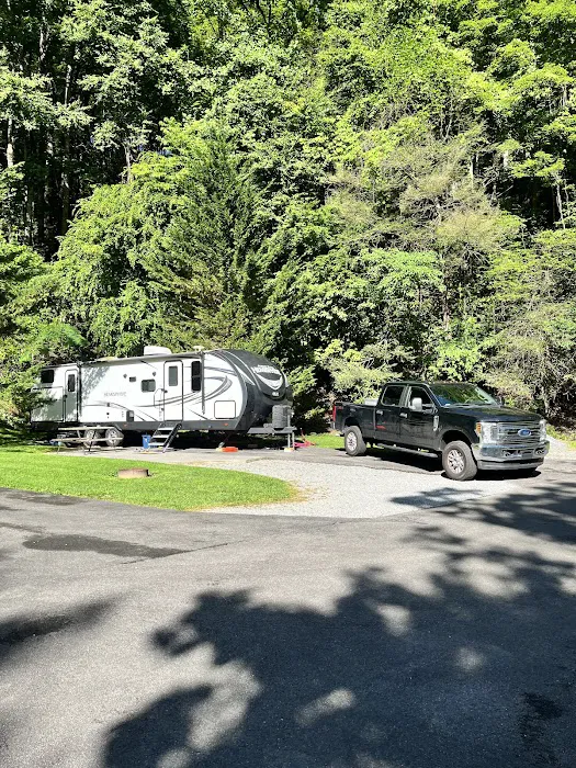 Twin Creek RV Resort Picture 5