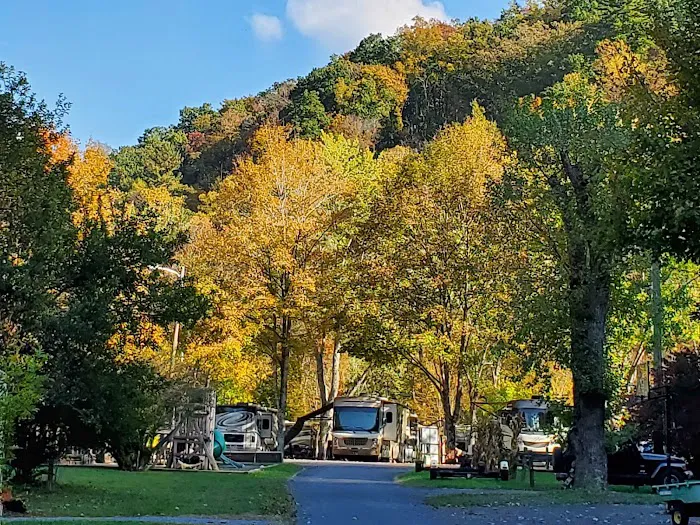 Twin Creek RV Resort Picture 4