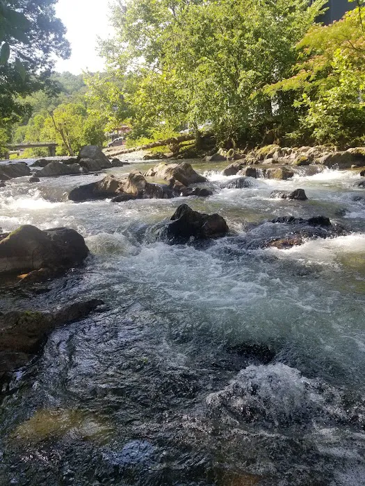Riveredge RV Park and Log Cabin Rentals Picture 10