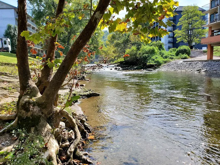 Camp Riverslanding Picture 8