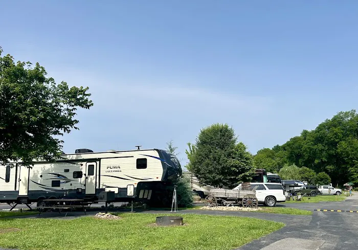 Buddy Bear in the Smokies RV Campground Picture 7