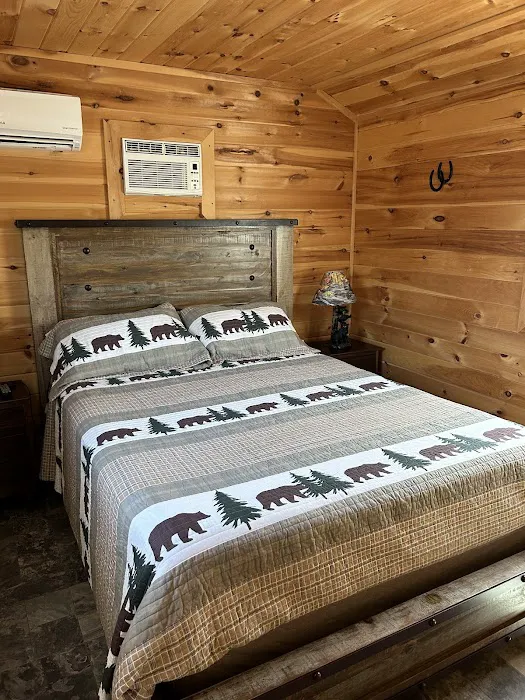 Buddy Bear in the Smokies RV Campground Picture 3