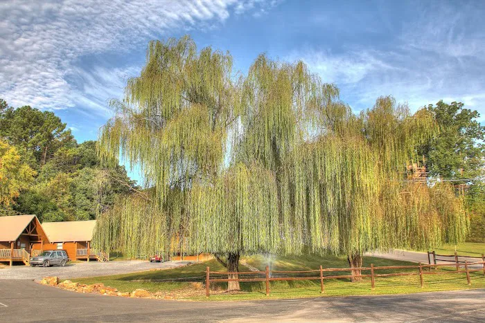 Sun Outdoors Pigeon Forge Picture 6