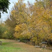 Holy Smokies RV Park & Glamping ico