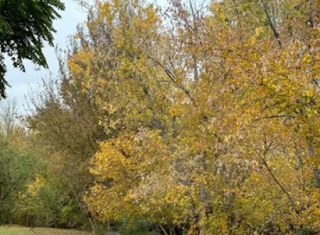 Holy Smokies RV Park & Glamping