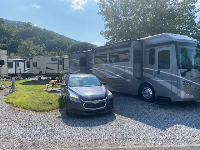 King's Holly Haven RV Park Picture 4