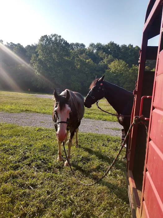 Reservoir horse trail camp Picture 1