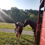 Reservoir horse trail camp