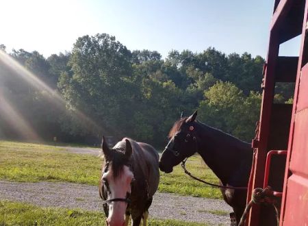 Reservoir horse trail camp