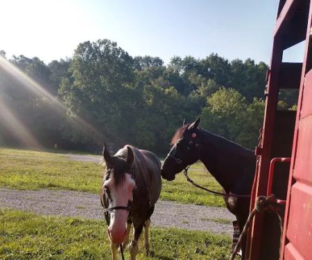 Reservoir horse trail camp