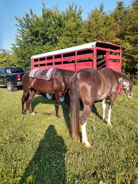 Reservoir horse trail camp Picture 4
