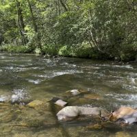 Hidden Waters RV Park, Campground & Outdoors ico