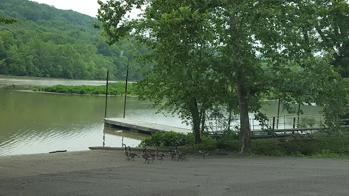 Arnold's Creek Campground & Marina Picture 10