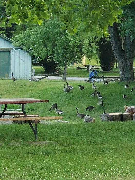 Enon Beach Recreation Park Picture 9