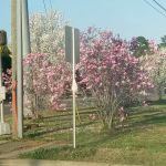 Village Squire Mobile Estates