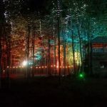 The Groves of Michigan