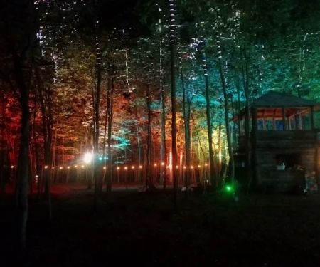 The Groves of Michigan