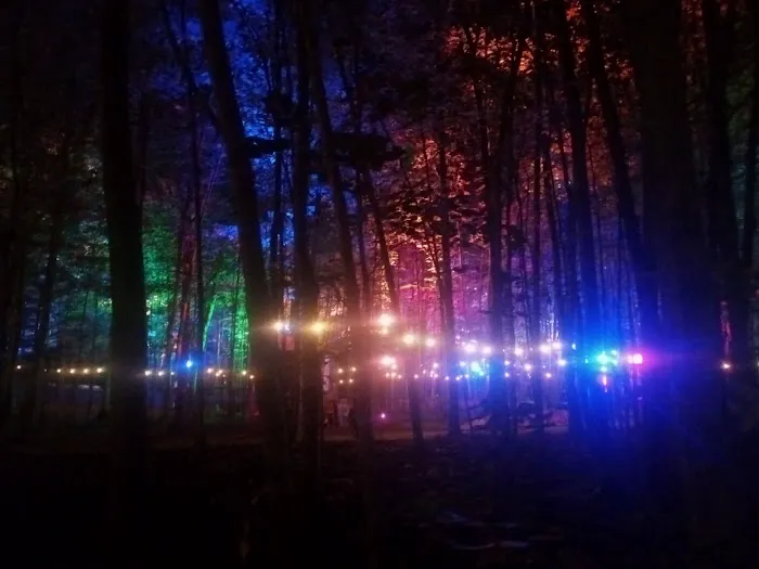 The Groves of Michigan Picture 2